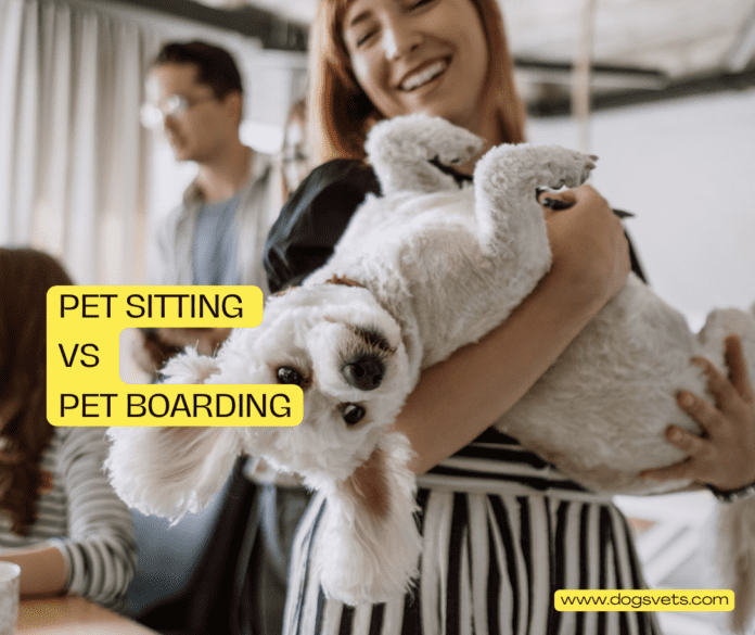 Pet Sitting vs Pet Boarding: Choosing the Best Care for Your Furry Friend