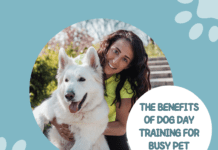 The Benefits of Dog Day Training for Busy Pet Owners The Benefits of Dog Day Training for Busy Pet Owners