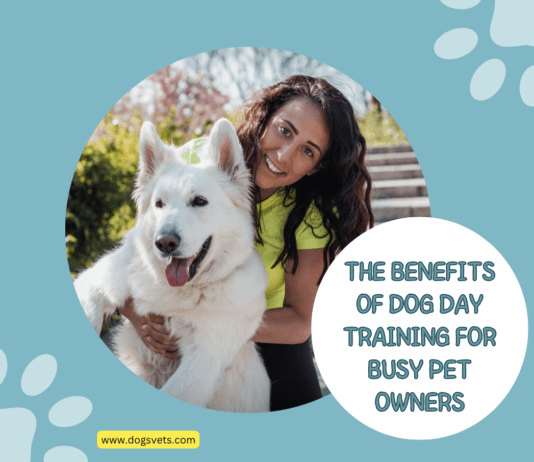 The Benefits of Dog Day Training for Busy Pet Owners The Benefits of Dog Day Training for Busy Pet Owners