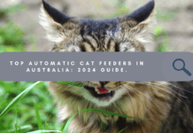Purrfect Peace of Mind: Top Automatic Cat Feeders in Australia (2024 Guide) automatic cat feeders