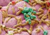 Dogs intestinal Microbiome