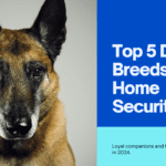 Top 5 Dog Breeds for Home Security in 2024: Loyal Companions and Fearless Protectors