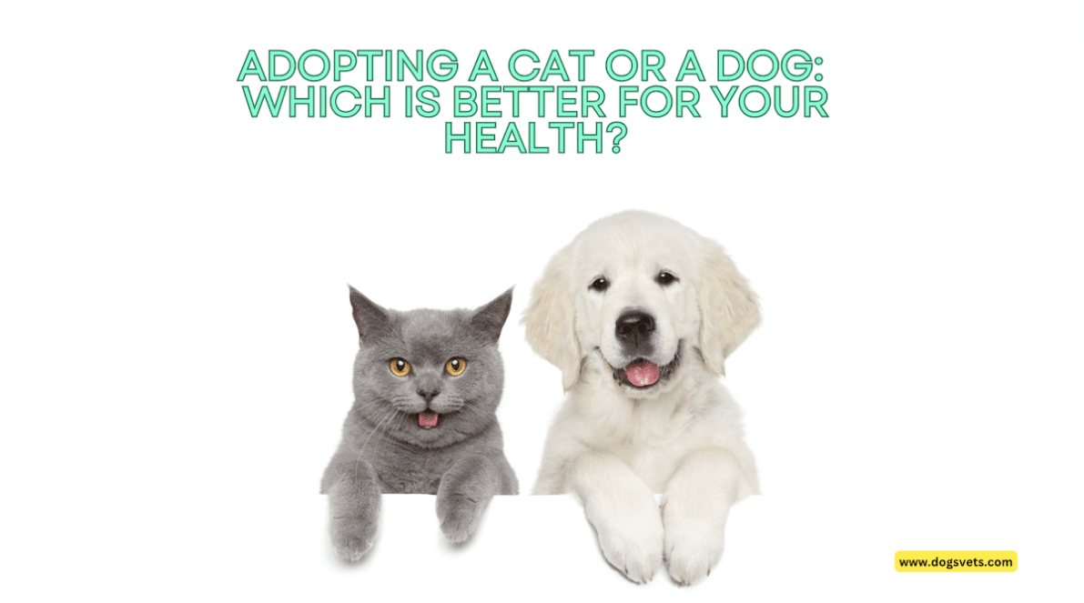 고양이와 개 입양: 어느 것이 건강에 더 좋나요?