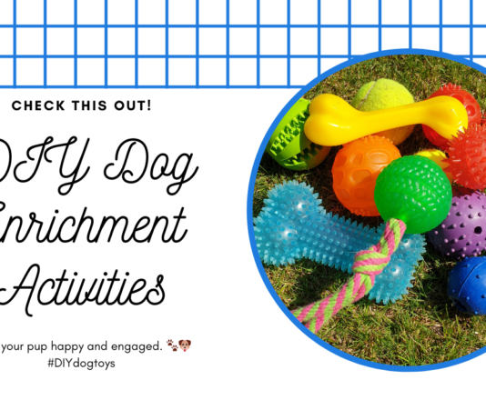 DIY Dog Enrichment ActivitiesUnleashing Creativity and Keeping Your Pup Happy: DIY Dog Enrichment Activities DIY Dog Enrichment Activities: Unleashing Creativity and Keeping Your Pup Happy