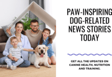 Paw-inspiring Dog-Related News Stories Today Paw-inspiring Dog-Related News Stories Today