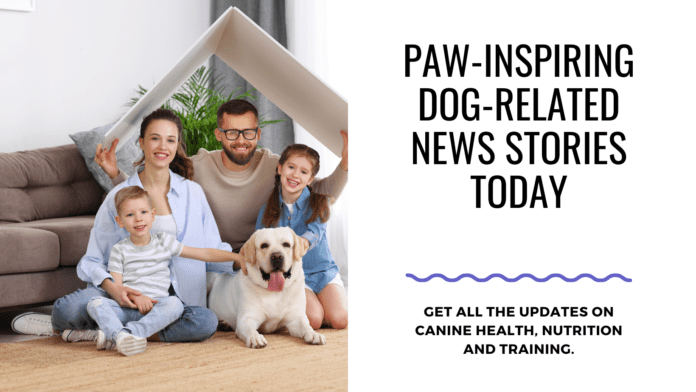 Paw-inspiring Dog-Related News Stories Today