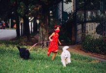 The Impact of Dogs on Child Development The Impact of Dogs on Child Development