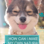 How Can I Make My Own Natural Pest Repellent for My Dog?