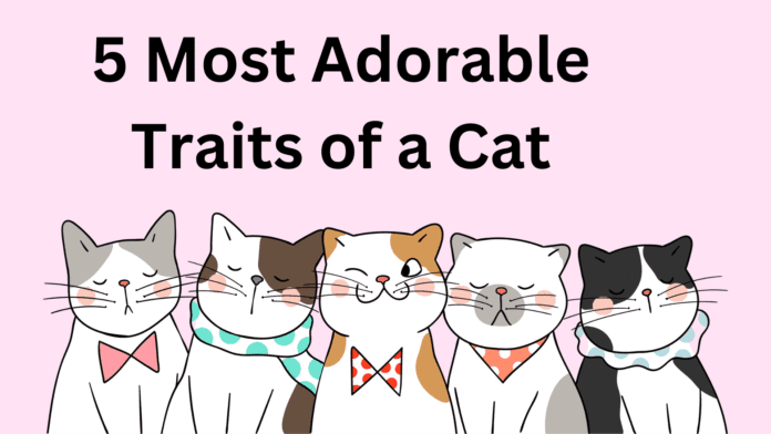 5 Most Adorable Traits of a Cat: Unleashing the Feline Power of Cuteness