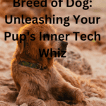 Top 5 Smartest Breed of Dogs: Unleashing Your Pup’s Inner Tech Whiz The Smartest Breed of Dog: Unleashing Your Pup's Inner Tech Whiz