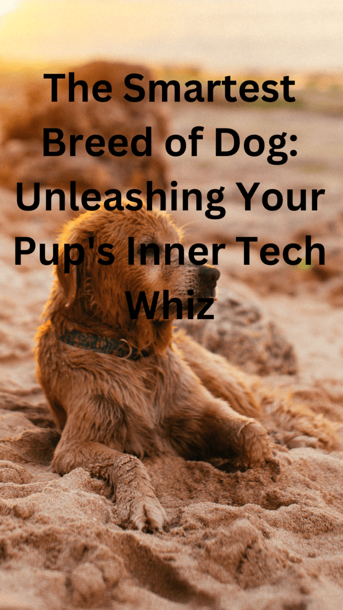 The Smartest Breed of Dog: Unleashing Your Pup's Inner Tech Whiz
