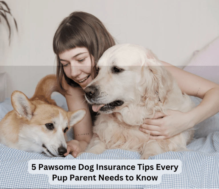 모든 강아지 부모가 알아야 할 5가지 멋진 개 보험 팁