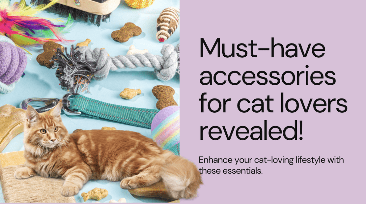 Presentados os 7 principais accesorios esenciais para os amantes dos gatos