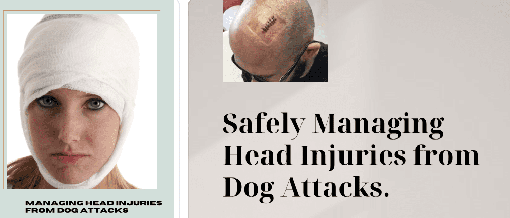 개 공격으로 인한 머리 부상 관리
