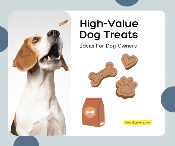 Guloseimas para cães de alto valor: ideias para donos de cães