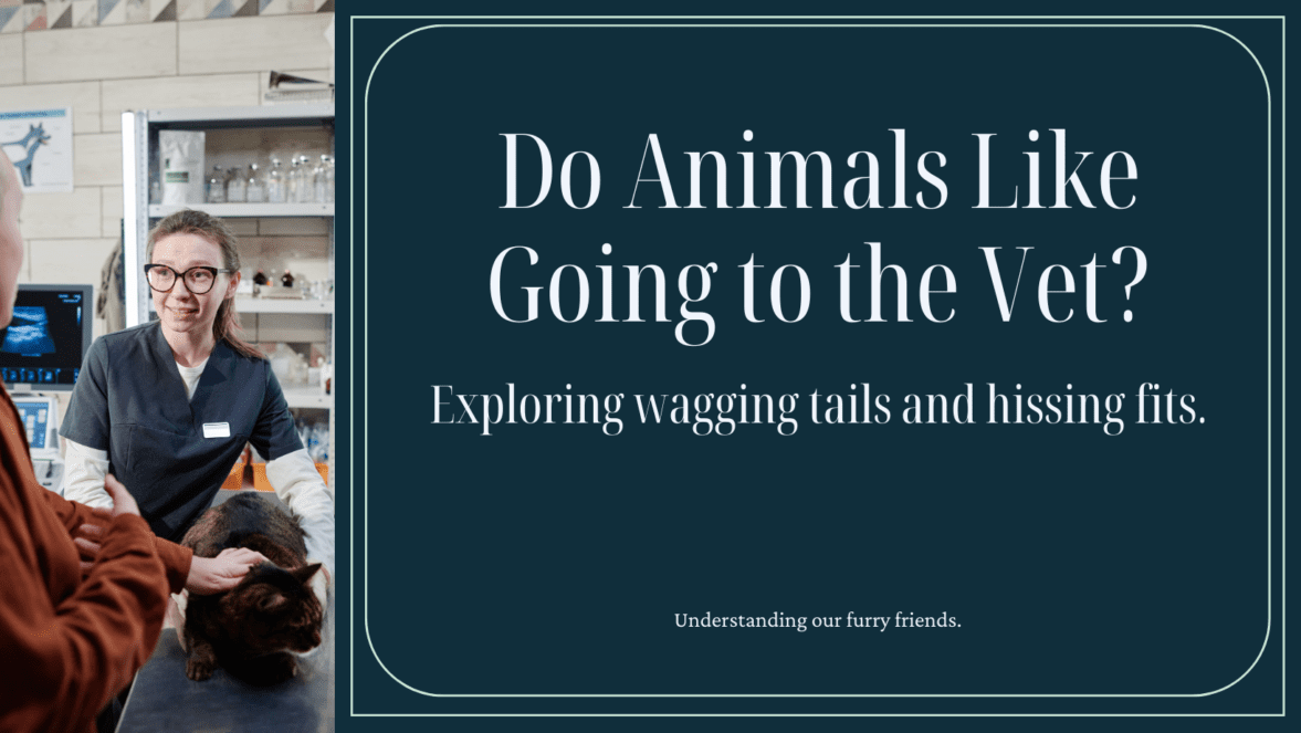 क्या जानवर पशुचिकित्सक के पास जाना पसंद करते हैं? पूंछ हिलाने और हिसिंग फिट का रहस्य सुलझाना