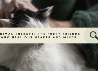 Animal Therapy: The Furry Friends Who Heal Our Hearts and Minds Animal Therapy: The Furry Friends Who Heal Our Hearts and Minds