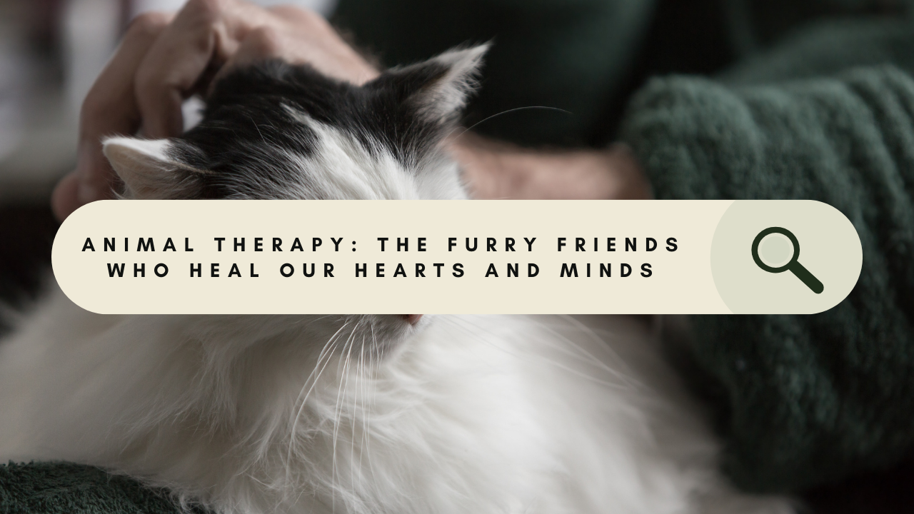 Animal Therapy: The Furry Friends Who Heal Our Hearts and Minds