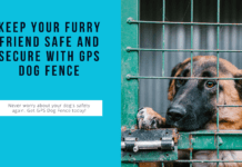 GPS Dog Fence: Keeping Your Furry Friend Safe and Secure GPS Dog Fence: Keeping Your Furry Friend Safe and Secure