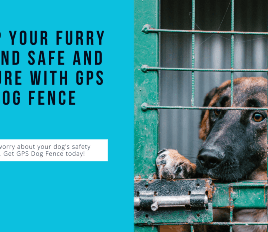 GPS Dog Fence: Keeping Your Furry Friend Safe and Secure GPS Dog Fence: Keeping Your Furry Friend Safe and Secure