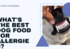 What is the Best Dog Food for Allergies? Top 5 Brands Reviewed What is the Best Dog Food for Allergies? Top 5 Brands Reviewed