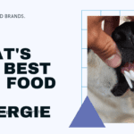 What is the Best Dog Food for Allergies? Top 5 Brands Reviewed