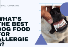 What is the Best Dog Food for Allergies? Top 5 Brands Reviewed What is the Best Dog Food for Allergies? Top 5 Brands Reviewed