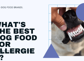 What is the Best Dog Food for Allergies? Top 5 Brands Reviewed What is the Best Dog Food for Allergies? Top 5 Brands Reviewed