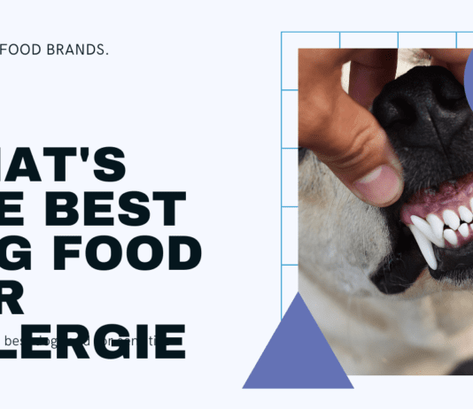 What is the Best Dog Food for Allergies? Top 5 Brands Reviewed What is the Best Dog Food for Allergies? Top 5 Brands Reviewed