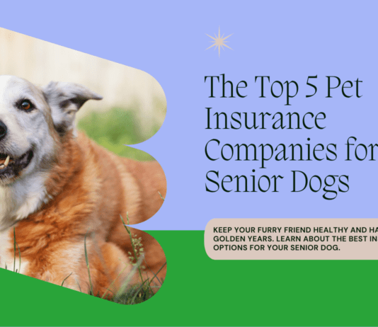 The Top 5 Pet Insurance Companies for Senior Dogs: Keeping Your Canine Companion Covered in Their Golden Years The Top 5 Pet Insurance Companies for Senior Dogs: Keeping Your Canine Companion Covered in Their Golden Years