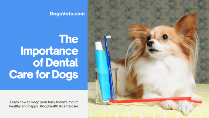 The Importance of Dental Care for Dogs: Keeping Your Canine Companion Smiling Brightly