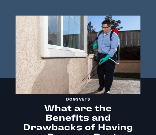 What are the Benefits and Drawbacks of Having a Dog as a Pest Controller? What are the Benefits and Drawbacks of Having a Dog as a Pest Controller?