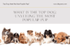 What is the Top Dog: Unveiling the Most Popular Pup What is the Top Dog: Unveiling the Most Popular Pup