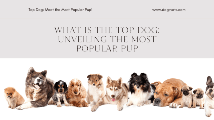 What is the Top Dog: Unveiling the Most Popular Pup