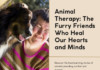 Animal Therapy: The Furry Friends Who Heal Our Hearts and Minds Animal Therapy: The Furry Friends Who Heal Our Hearts and Minds
