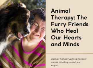 Animal Therapy: The Furry Friends Who Heal Our Hearts and Minds Animal Therapy: The Furry Friends Who Heal Our Hearts and Minds