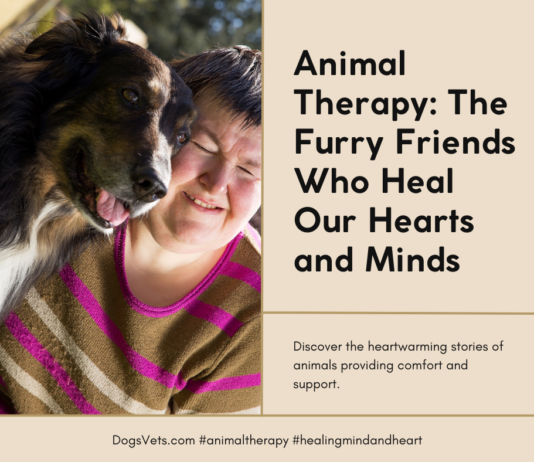 Animal Therapy: The Furry Friends Who Heal Our Hearts and Minds Animal Therapy: The Furry Friends Who Heal Our Hearts and Minds