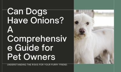 Os cans poden ter cebola? Unha guía completa para os propietarios de animais