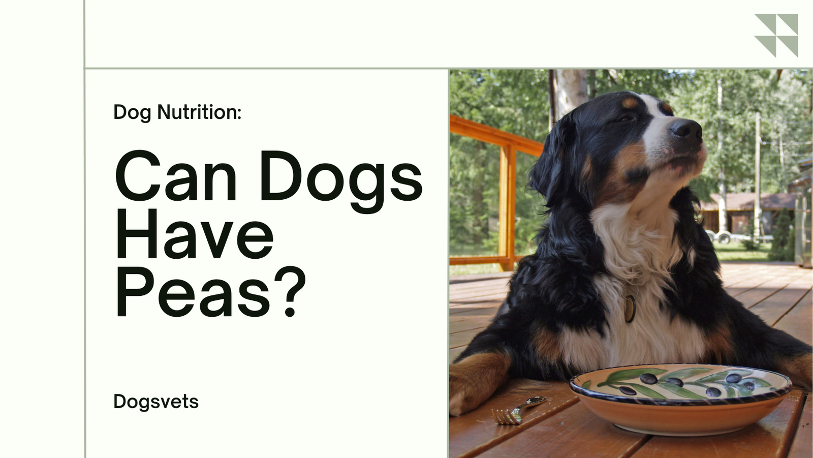 Can Dogs Have Peas? 