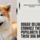Doggie Delight: Embrace the Popularity of These Dog Breeds