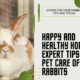 Happy and Healthy Hops: Expert Tips for Pet Care of Rabbits