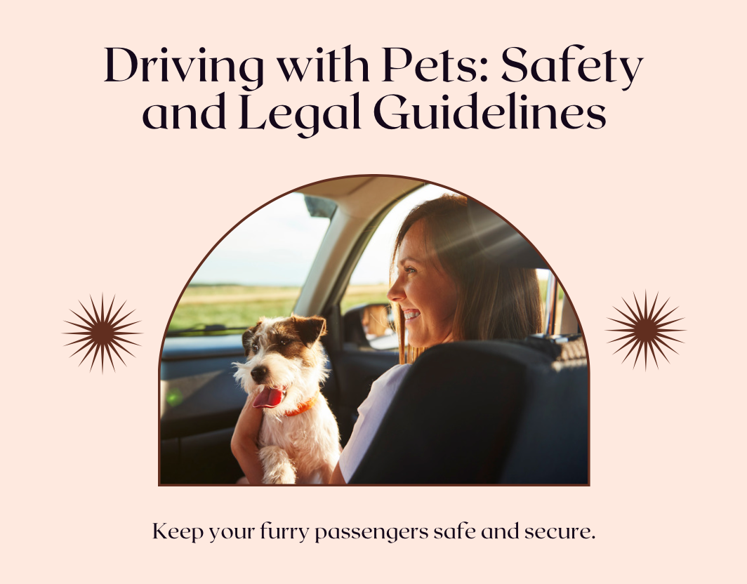 ペットと一緒に運転するリスク: 安全性と法的ヒント