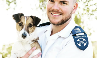 मुख्य निरीक्षक ने कुत्ते टोबी को बचाकर जन्मदिन मनाया: एक हृदयस्पर्शी कहानी"