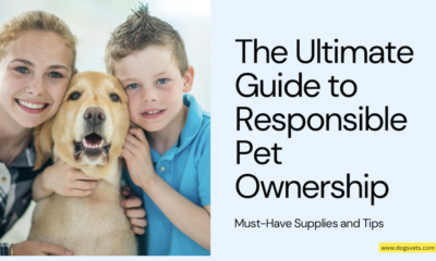 A guía definitiva para a tenencia responsable de animais de compañía: subministracións e consellos imprescindibles