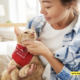 Asegurar o teu amigo felino: o mellor seguro para mascotas para gatos