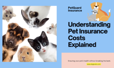 Crunching the Numbers: Decodificación do custo do seguro de mascotas