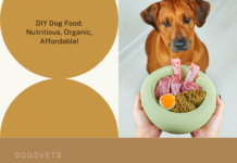 How to Make Nutritious Organic Dog Food and Save Money: Unleashing Your Inner Canine Chef How to Make Nutritious Organic Dog Food and Save Money
