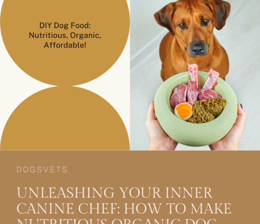 How to Make Nutritious Organic Dog Food and Save Money: Unleashing Your Inner Canine Chef How to Make Nutritious Organic Dog Food and Save Money