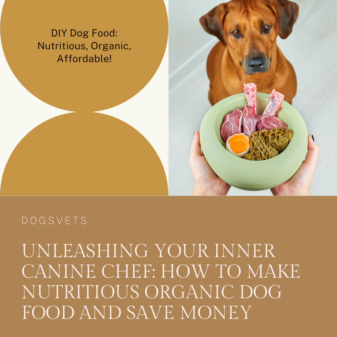 Como facer alimentos orgánicos nutritivos para cans e aforrar cartos