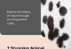 7 Stunning Animal Coats Showcasing Nature’s Artistry 7 Stunning Animal Coats Showcasing Nature's Artistry